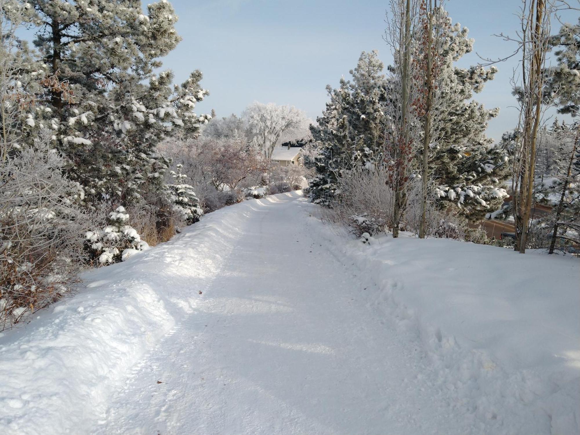 U Of A Homestay, Trails & Whyte Ave Едмонтон Номер фото