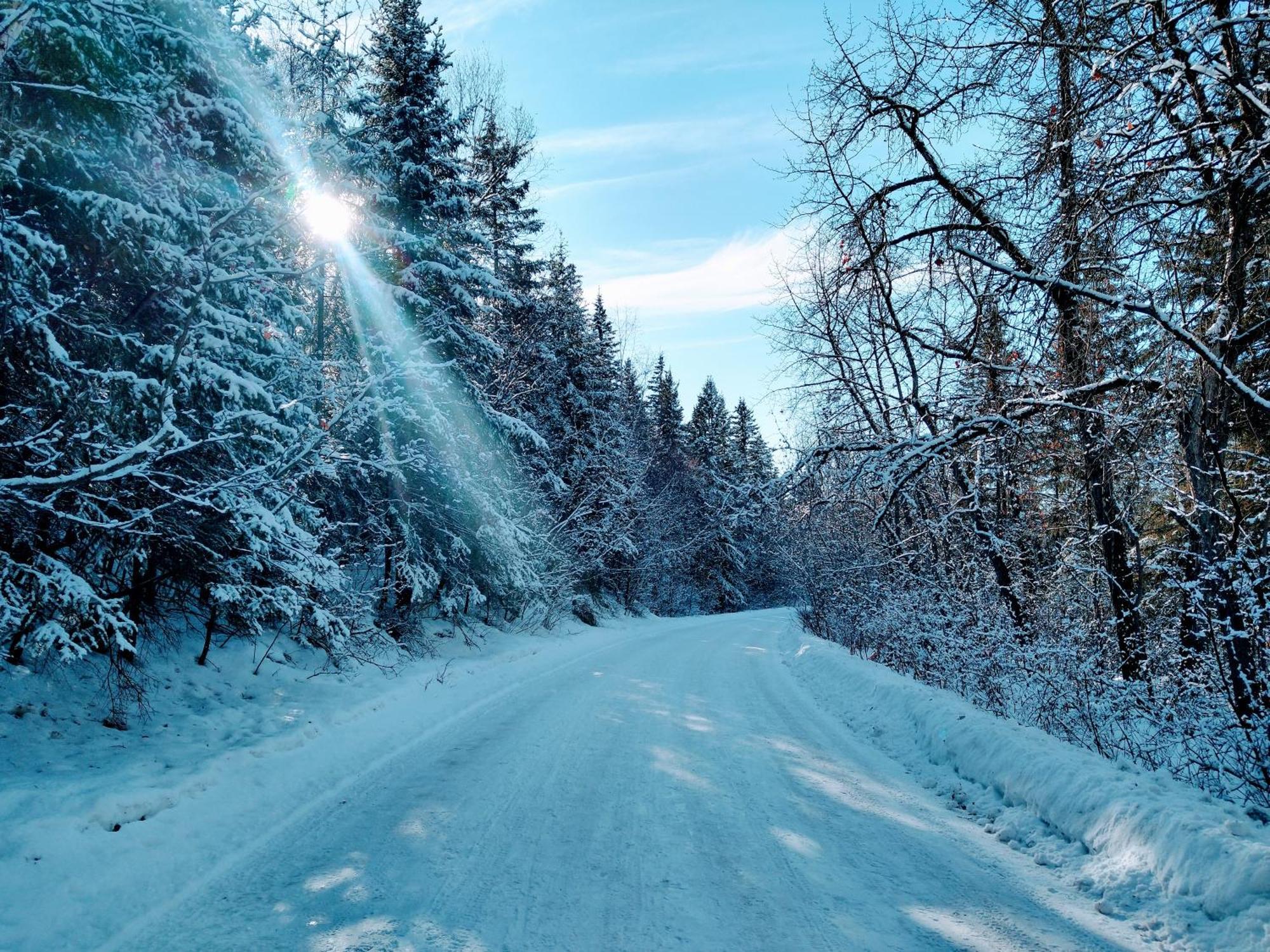 U Of A Homestay, Trails & Whyte Ave Едмонтон Номер фото