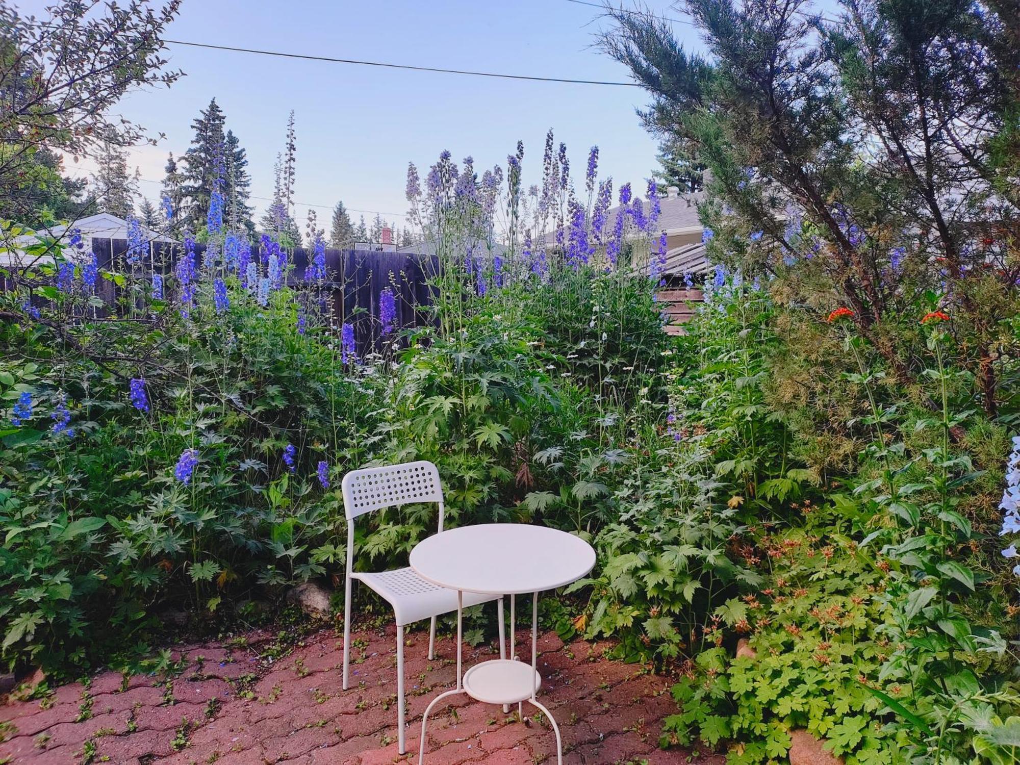 U Of A Homestay, Trails & Whyte Ave Едмонтон Екстер'єр фото